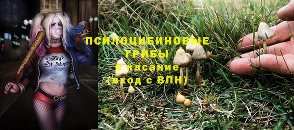 спайс Алексеевка