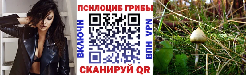 Галлюциногенные грибы Psilocybe  сайты даркнета состав  Нижний Ломов 